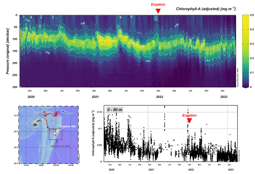 BGC-Argo float 6903024 data