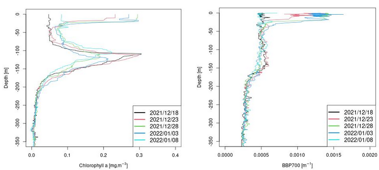 BGC-Argo float 6903024 of Chlorophyll A and BBP