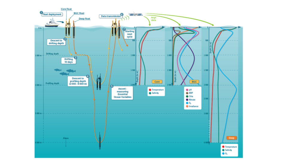 Argo Floats trajectory and vertical profile of measurements. Credits: @ Euro-Argo