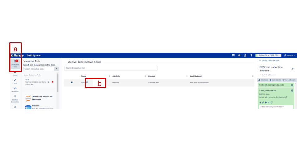 How to launch ODV interactive tool on Galaxy